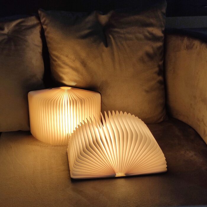 Hanar Book Lamp - Image 5